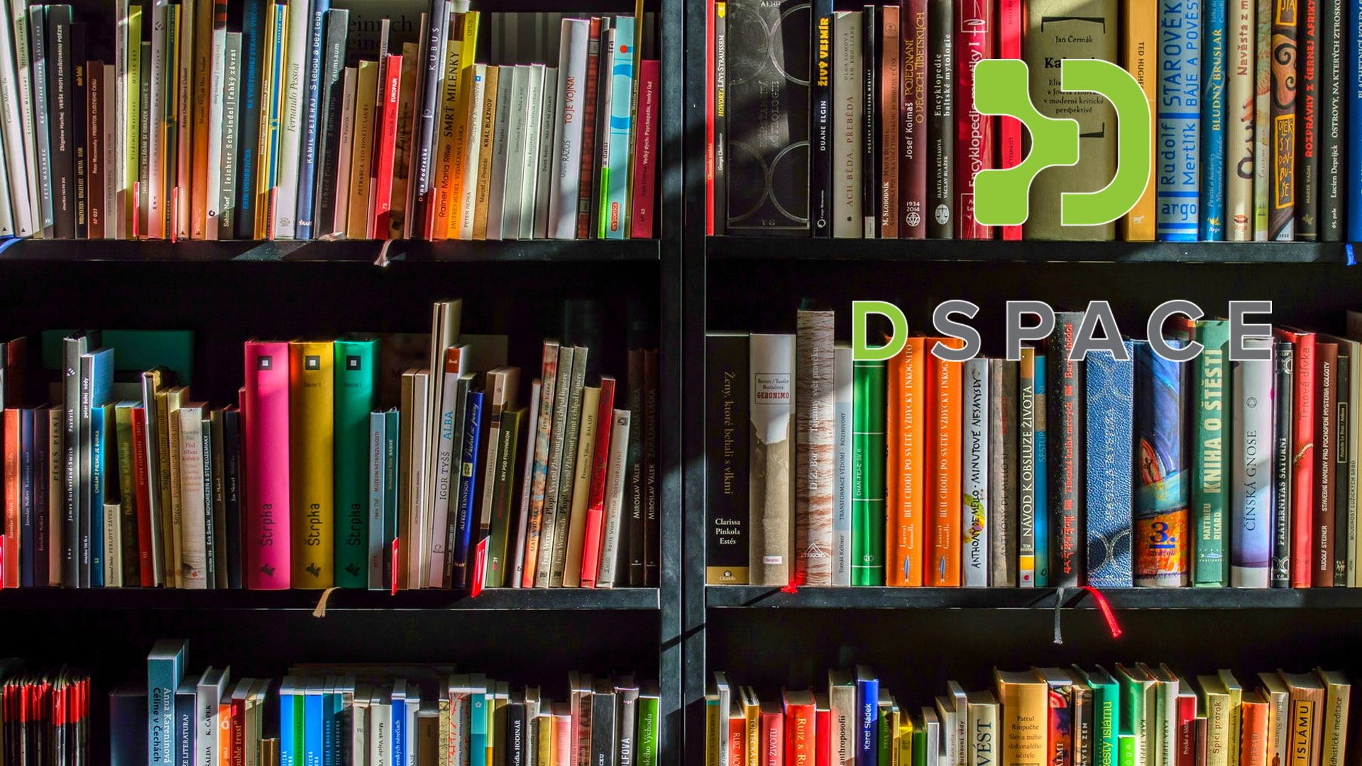 Cuánta potencia se necesita para usar dSpace